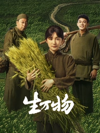 深巷灯火在线观看